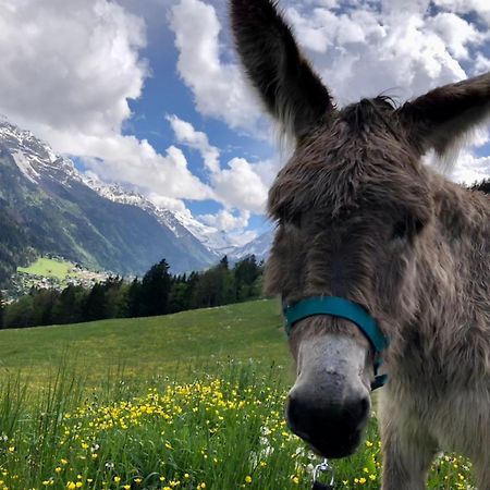 Chalet Riviere Du Bon Nant Location De 6 A 14 Personnes En Haute Savoie Сен-Жерве-ле-Бен Екстер'єр фото