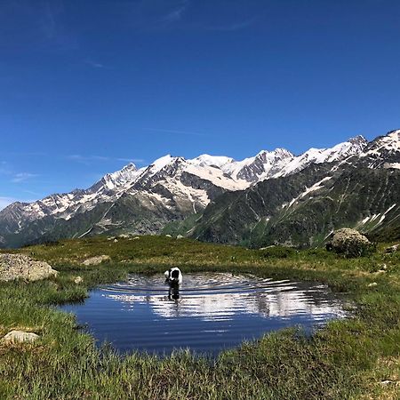 Chalet Riviere Du Bon Nant Location De 6 A 14 Personnes En Haute Savoie Сен-Жерве-ле-Бен Екстер'єр фото