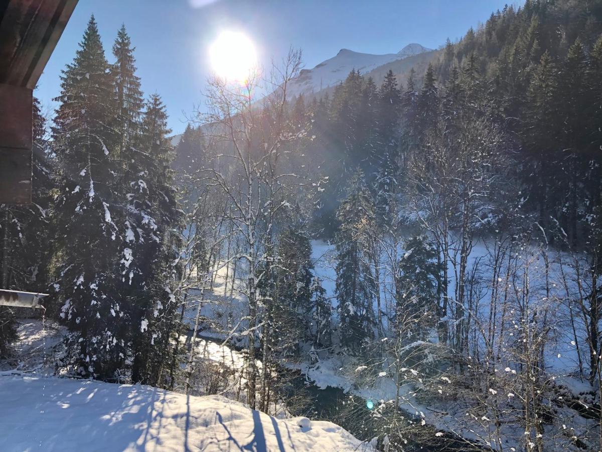 Chalet Riviere Du Bon Nant Location De 6 A 14 Personnes En Haute Savoie Сен-Жерве-ле-Бен Екстер'єр фото