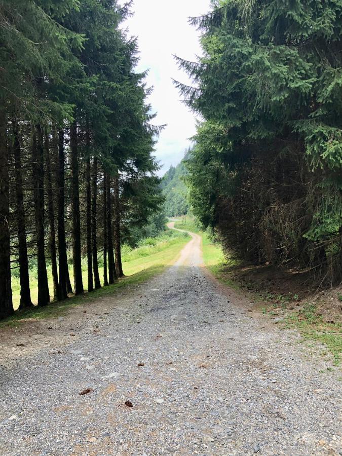 Chalet Riviere Du Bon Nant Location De 6 A 14 Personnes En Haute Savoie Сен-Жерве-ле-Бен Екстер'єр фото