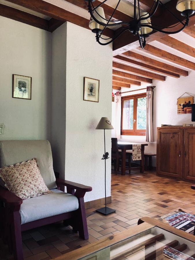 Chalet Riviere Du Bon Nant Location De 6 A 14 Personnes En Haute Savoie Сен-Жерве-ле-Бен Екстер'єр фото