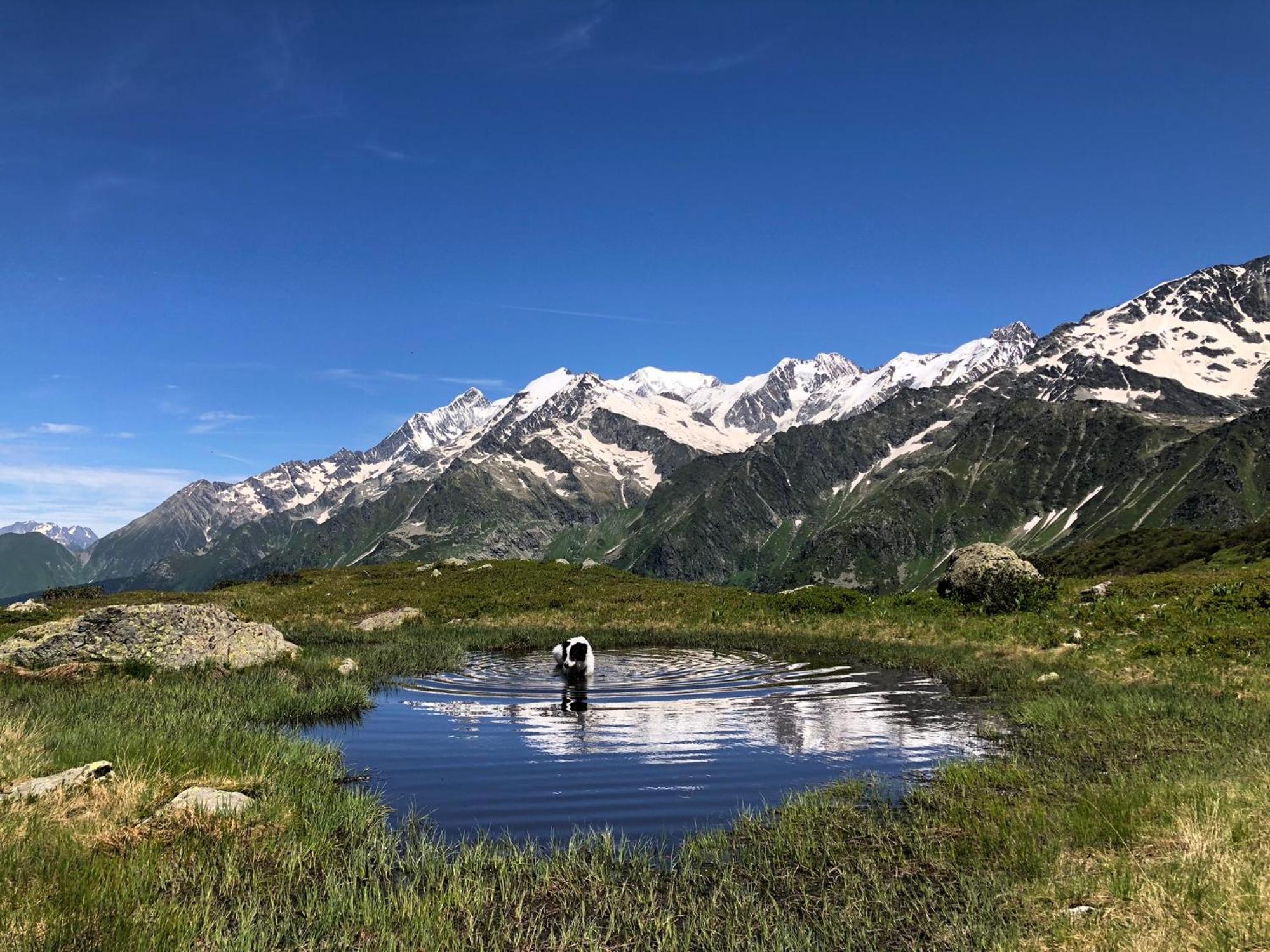 Chalet Riviere Du Bon Nant Location De 6 A 14 Personnes En Haute Savoie Сен-Жерве-ле-Бен Екстер'єр фото