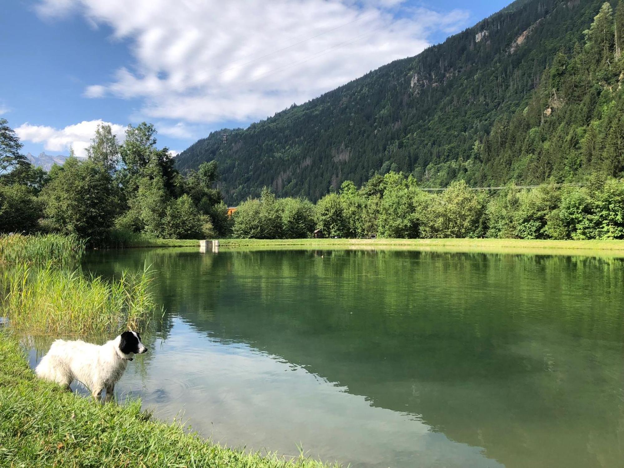 Chalet Riviere Du Bon Nant Location De 6 A 14 Personnes En Haute Savoie Сен-Жерве-ле-Бен Екстер'єр фото