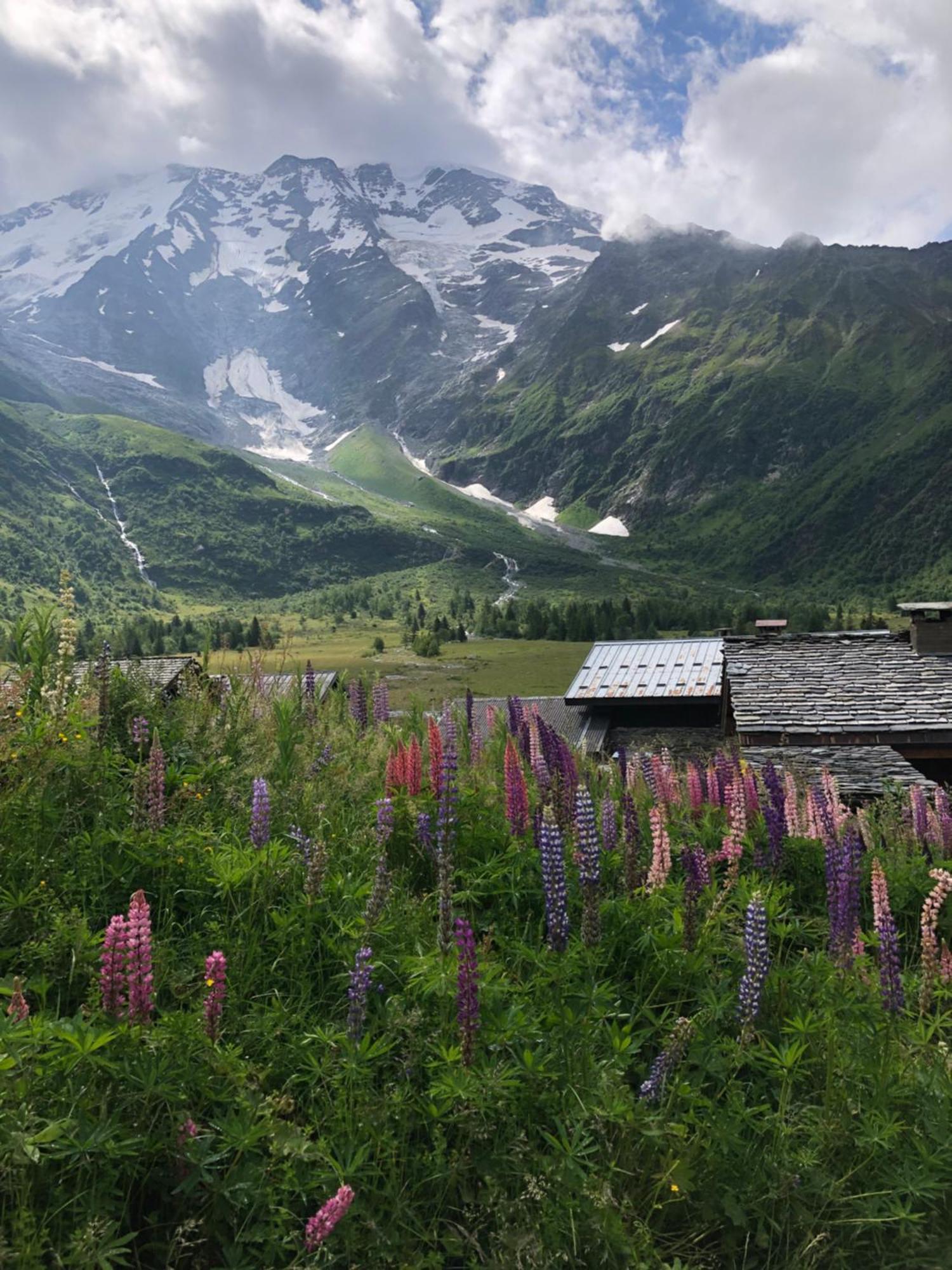 Chalet Riviere Du Bon Nant Location De 6 A 14 Personnes En Haute Savoie Сен-Жерве-ле-Бен Екстер'єр фото